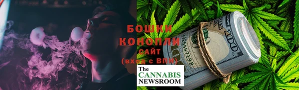 дмт Вяземский