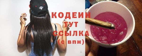 дмт Вяземский