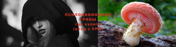 дмт Вяземский