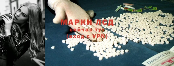 дмт Вяземский