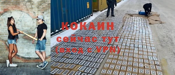 дмт Вяземский