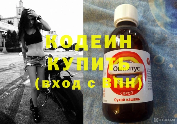 дмт Вяземский